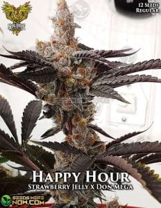 Happy Hour (regular) - Solfire Gardens