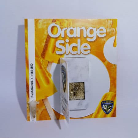 T.h.seeds-Orangesicle-6+1-Card
