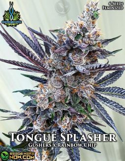Exotic Genetix - Tongue Splasher {FEM} [6pk]exotic-genetix-tongue-splasher