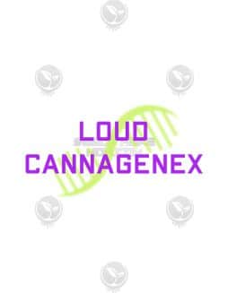 loud-cannagenex-ph