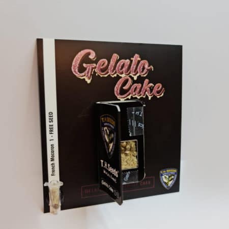 T.h.seeds-Gelato-Cake-Card-Image