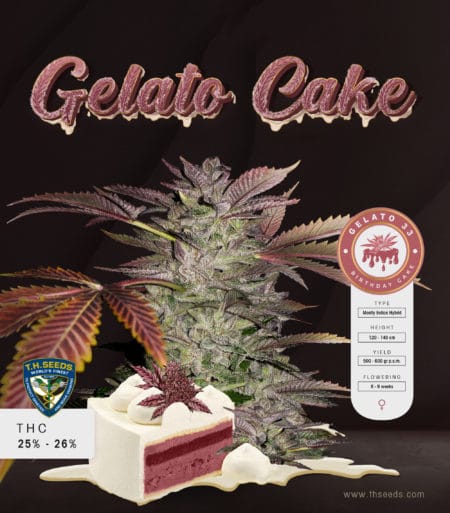 T.h.seeds-Gelato-Cake-Promo