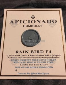 Rain bird f4 (regular) - aficionado seeds