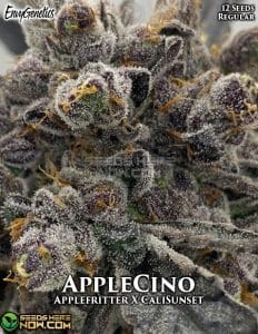 AppleCino (Regular) (space) Envy Genetics