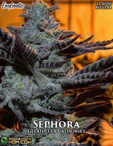 Sephora (Regular) - Envy Genetics
