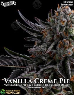 Humboldt Seed Company - Vanilla Creme Pie {FEM} [10pk]humboldt-seed-company-vanilla-creme-pie