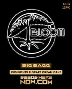 Big Bagg (Regular) - Bloom Seed Co.