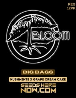 Bloom Seed Co. - Big Bagg {REG} [12pk]Bloom Seeds Big Bagg