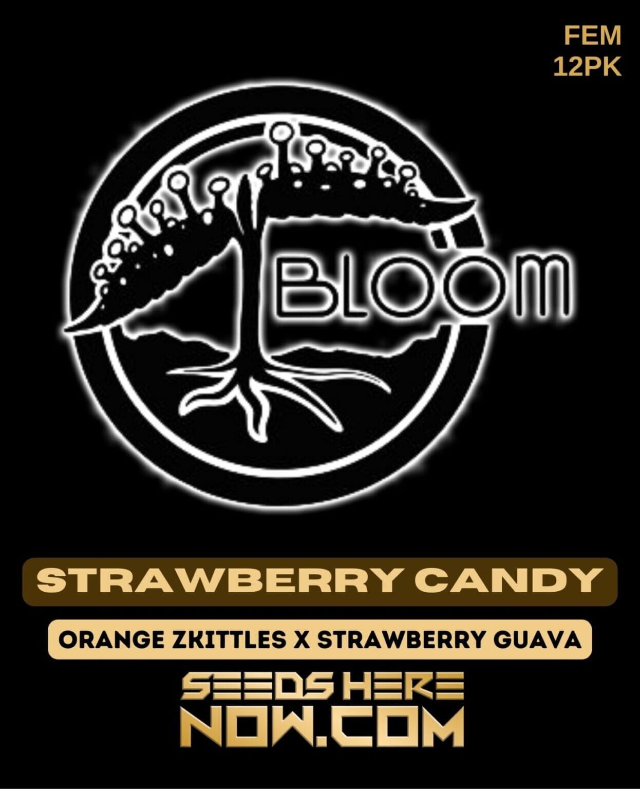 Bloom Seed Co. Strawberry Candy {FEM} [12pk] Seeds Here Now