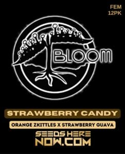 Strawberry candy (feminized) - bloom seed co.