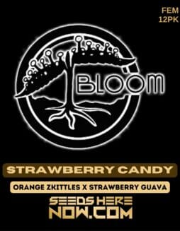 Bloom Seed Co. - Strawberry Candy {FEM} [12pk]Bloom Strawberry Candy