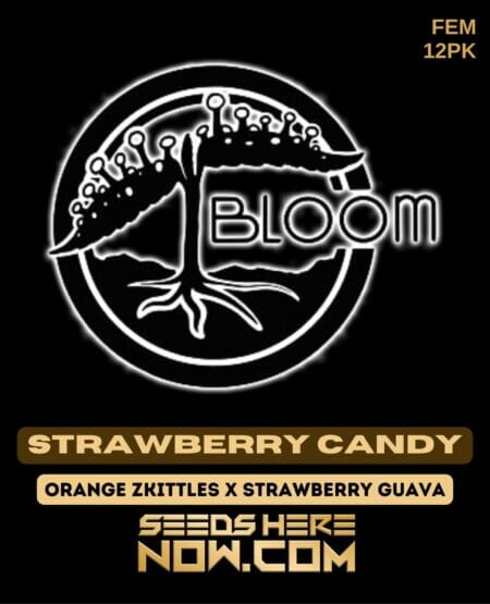 Bloom Strawberry Candy