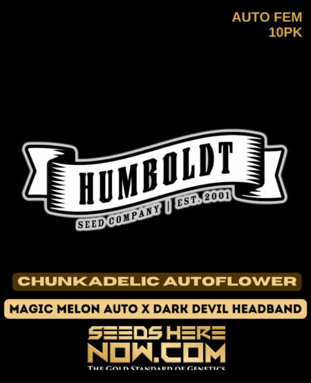 Humboldt Chunkadelic Autoflower