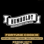 Fortune Cookie (Feminized) - Humboldt Seed Company