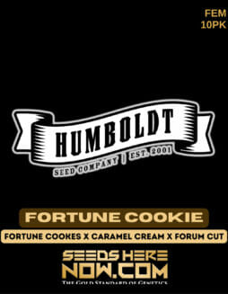 Humboldt Seed Company - Fortune Cookie {FEM} [10pk]Humboldt Fortune Cookie