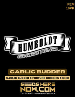 Humboldt Seed Company - Garlic Budder {FEM} [10pk]Humboldt Garlic Budder