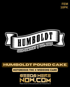 Humboldt Pound Cake (feminized) - Humboldt Seed Company