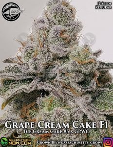 Grape cream cake (regular) - bloom seed co.