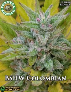 Bshw Colombian (regular) - Coastal Seed Co.