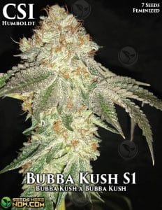 Bubba Kush S1 (Feminized) (space) CSI Humboldt