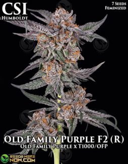 CSI Humboldt - Old Family Purple F2 (R) {FEM} [7pk]Humboldt Seed Company