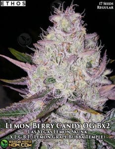 Lemon Berry Candy Og Bx2 (regular) - Ethos Genetics