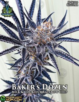 Exotic Genetix - Baker's Dozen {REG} [10pk]exotic-genetix-bakers-dozen-reg