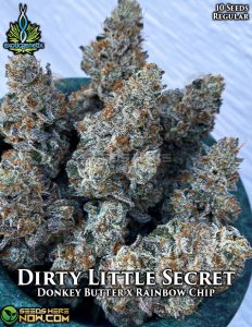Dirty little secret (regular) - exotic genetix