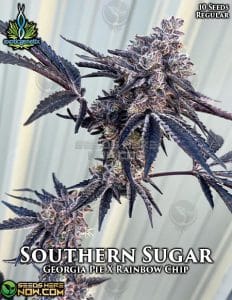 Southern sugar (regular) - exotic genetix