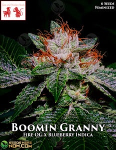 Boomin Granny (feminized) - Goat and Monkey Seeds