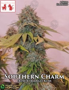 Southern Charm (Feminized) - Goat and Monkey Seeds
