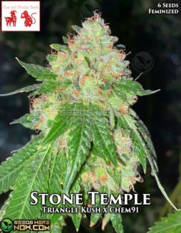 Goat and Monkey Seeds - Stone Temple {FEM} [6pk]