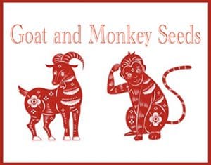 Goatandmonkey-logo-250