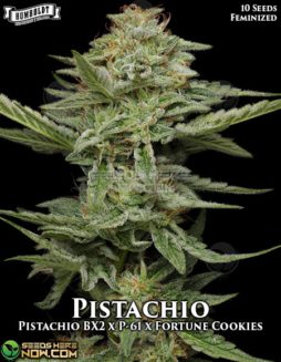 Humboldt Seed Company - Pistachio {FEM} [10pk]Pistachio