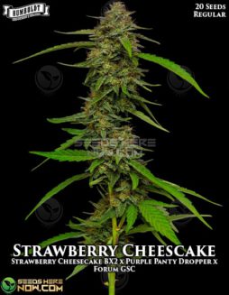 Humboldt Seed Company - Strawberry Cheesecake {REG} [20pk]humboldt seed company