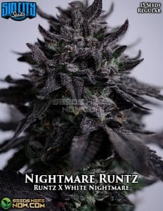 Nightmare Runtz (Regular) - Sin City Seeds