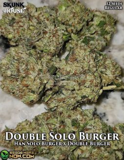 Skunk House Genetics - Double Solo Burger {REG} [12pk]