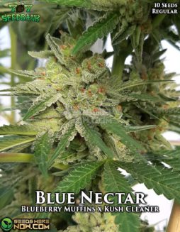 707 Seed Bank - Blue Nectar {REG} [10pk]707-seed-bank-blue-nectar