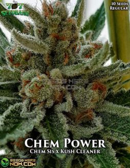 707 Seed Bank - Chem Power {REG} [10pk]707-seed-bank-chem-power