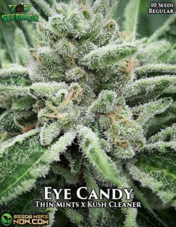 707 Seed Bank - Eye Candy {REG} [10pk]707-seed-bank-eye-candy