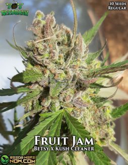 707 Seed Bank - Fruit Jam {REG} [10pk]707-seed-bank-fruit-jam
