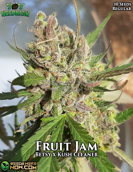 707-Seed-Bank-Fruit-Jam