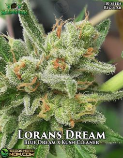 707 Seed Bank - Lorans Dream {REG} [10pk]707-seed-bank-lorans-dream