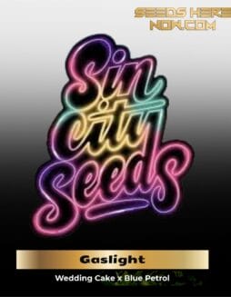 Gaslight (Regular) (space) Sin City Seeds