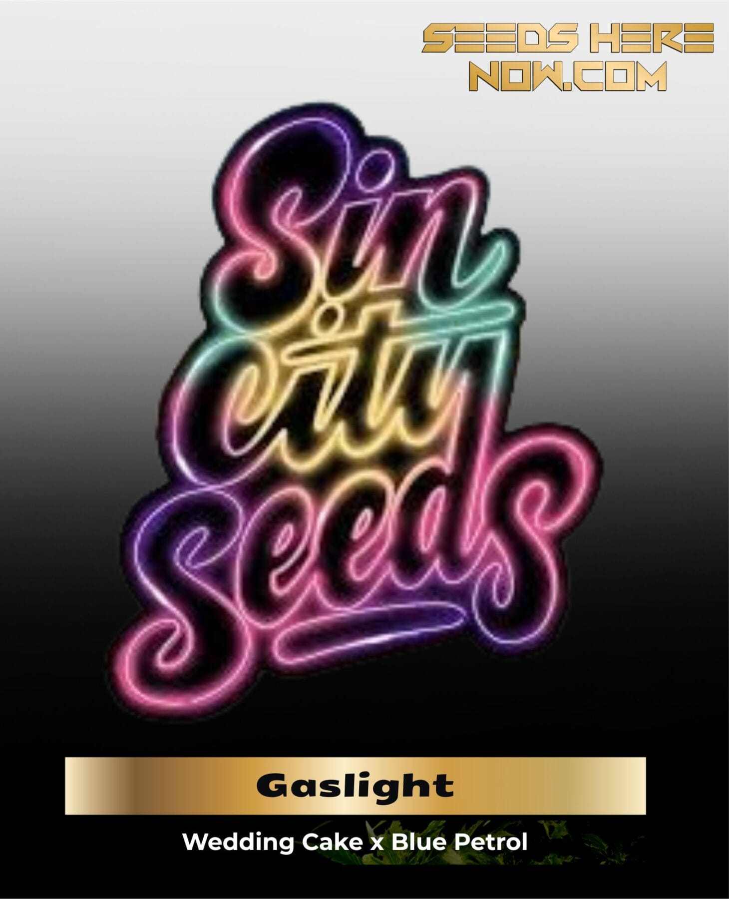 Gaslight (Regular) - Sin City Seeds