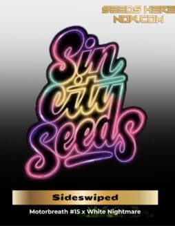 Sideswiped (Feminized) (space) Sin City Seeds