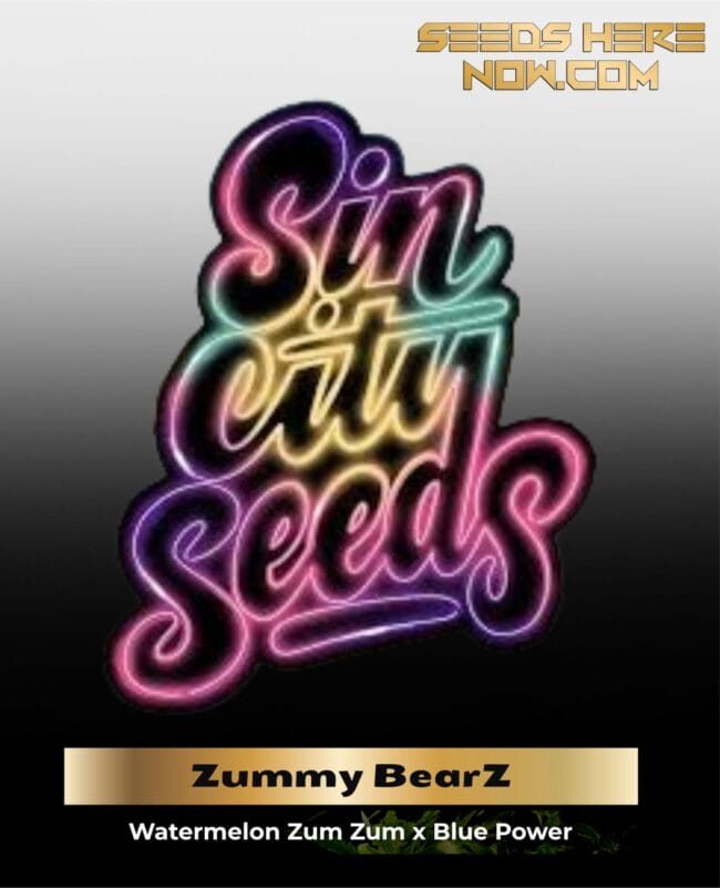 Zummy BearZ (Regular) - Sin City Seeds