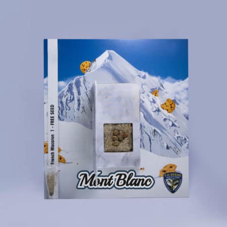 T.h.seeds-mont-blanc-card-6+1