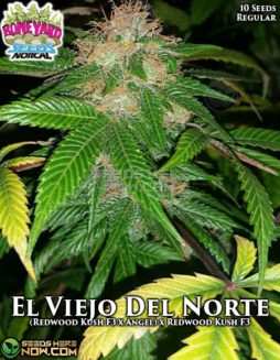 Boneyard Seeds - El Viejo Del Norte {REG} [10pk]
