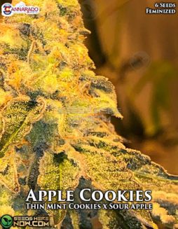 Cannarado Genetics - Apple Cookies {FEM} [6pk]cannarado-genetics-apple-cookies-fem